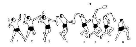 Smash Shot Badminton 的图像结果