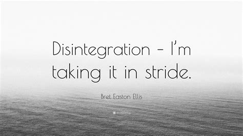 Bret Easton Ellis Quote: “Disintegration – I’m taking it in stride.”
