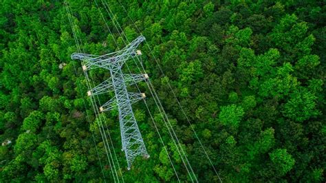 Sustainable and digital Grids of the Future | Schneider Electric India
