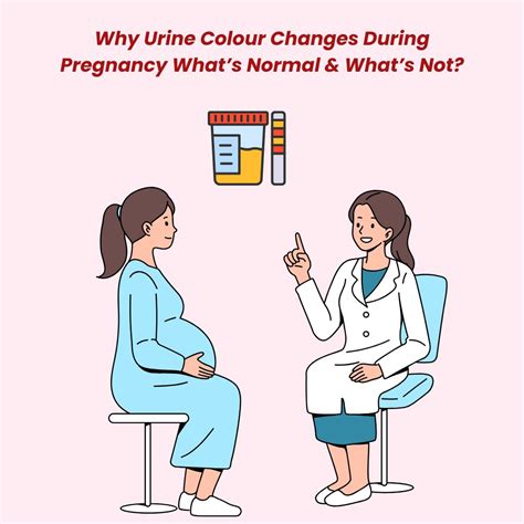 Why Urine Colour Changes in Pregnancy: Is It Normal?