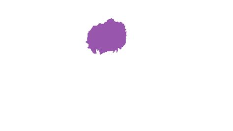 Accurate Nevus Shapes - Dataset Ninja