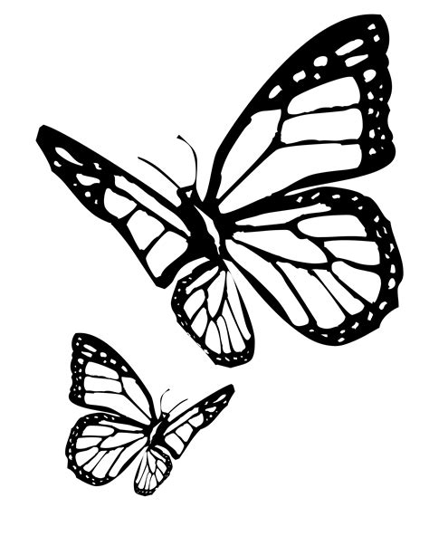 Easy Simple Flying Butterfly Drawing