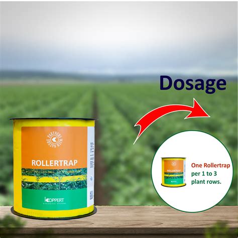 Koppert Rollertrap Yellow – Agriplex