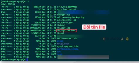 Image result for Mysql.plugin InnoDB