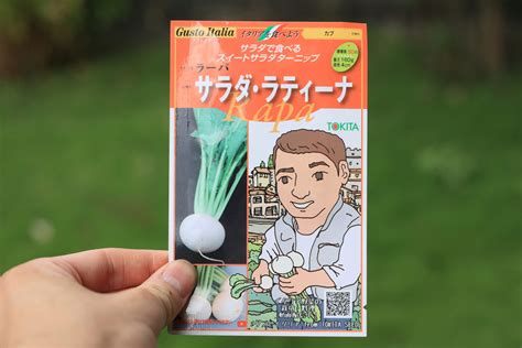 Image result for Code Pun Code