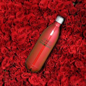 Atlasware Stainless Steel Hot and Cold Vacuum Water Bottle Super ...