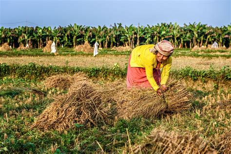 Nepal - Monsoon, Himalayas, Temperate | Britannica
