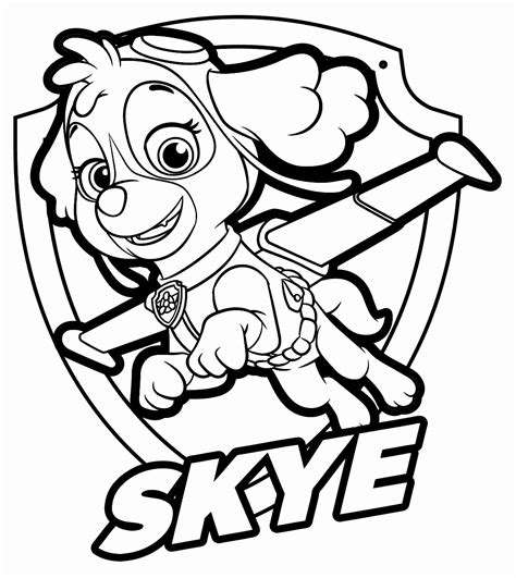 Paw Patrol Sky Coloring Sheets Pages Sketch Coloring Page