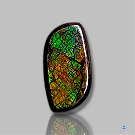 AMMOLITE – Cabochons4sale