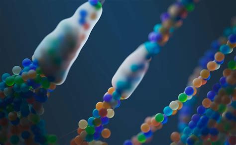 Sirtuins: क्या है सिर्टुइन्स? डाइजेशन और एजिंग में अदा करते हैं बड़ी ...