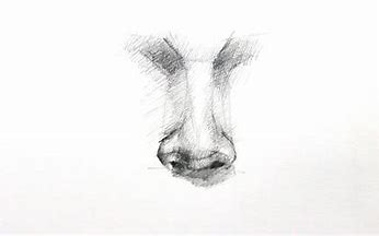 tutorial draw in pencil drawing