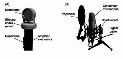 Condenser Microphone Module 的图像结果