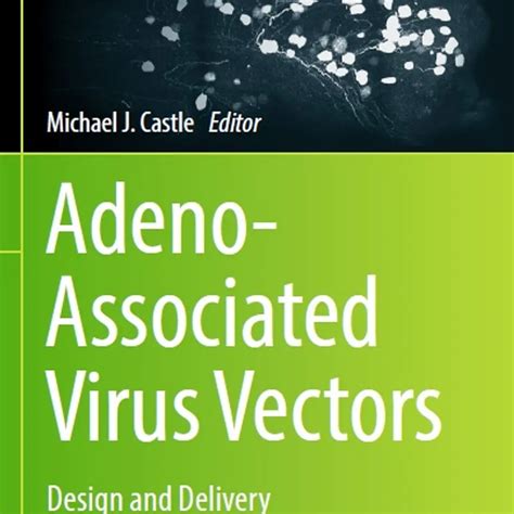 Adeno-Associated Virus Vectors Design and Delivery - Medical Book Store Uae