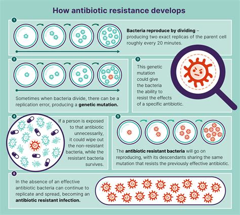 Antibiotic Resistance Leaflet