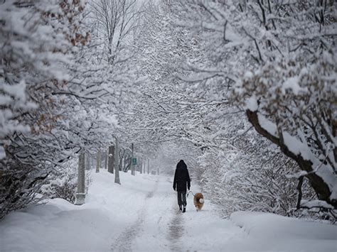 US crackdown on illegal immigration to impact many Canadian snowbirds ...