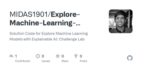 Explore Machine Learning Models with Explainable Ai Challenge Lab Solutions 的图像结果