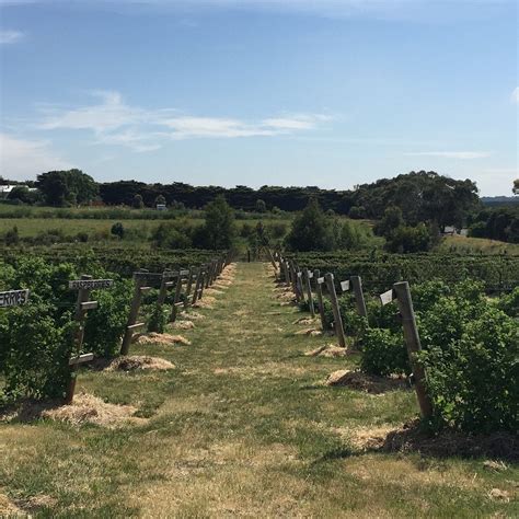 RAVENS CREEK FARM (2026) All You Need to Know BEFORE You Go (with ...