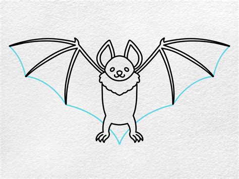 How To Draw A Bat at Allison Gallo blog