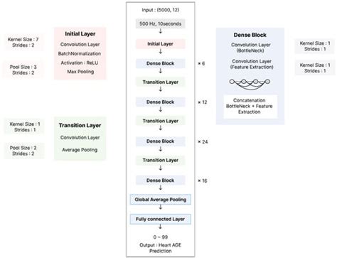 Comparison of Artificial Intelligence–Derived Heart Age with ...