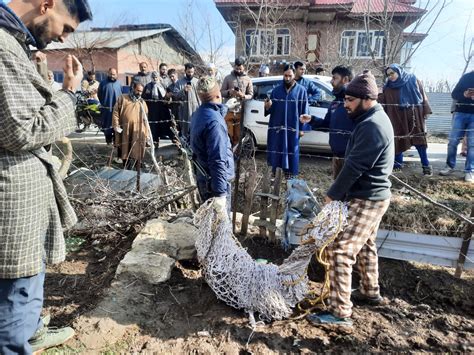 Man-animal conflict on rise in Kashmir even as encroachment of forests ...