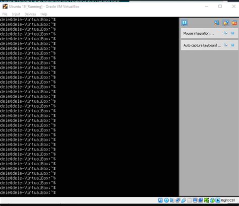 Image result for Linux VirtualBox GUI Glitch