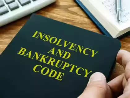 IBC has been a game-changer, transformed the insolvency landscape: DFS ...