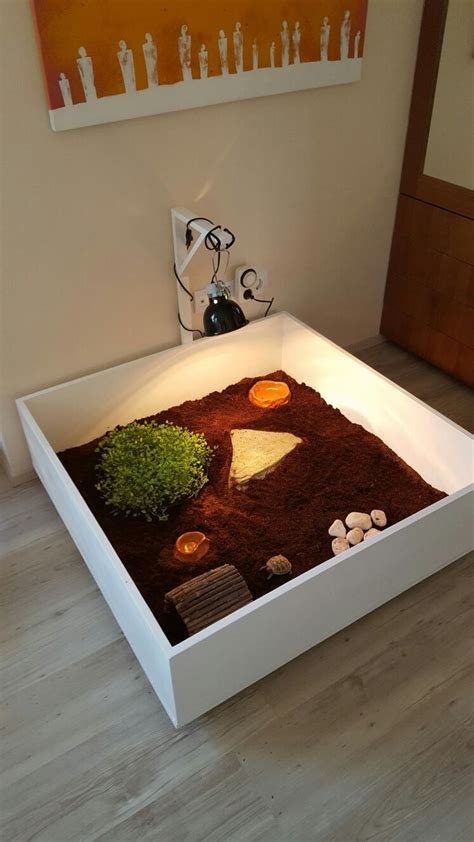 Tortoise table DIY | Tortoise enclosure, Tortoise table, Turtle habitat