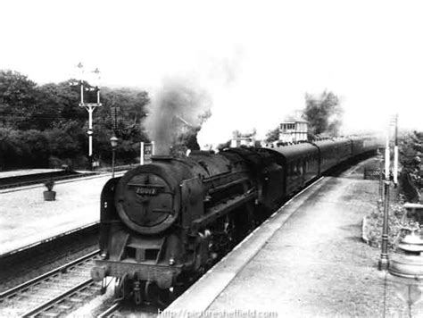 Searching Picture Sheffield