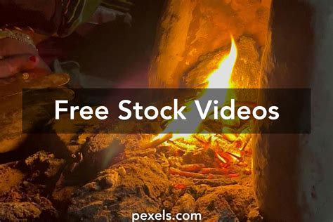 Primitive Videos 的图像结果