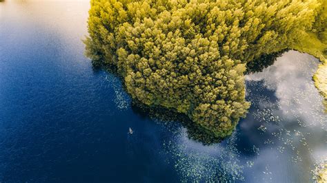 Download wallpaper 2560x1440 sea, boat, aerial view, trees, lithuania ...
