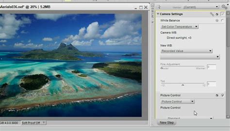 Image result for Tutorial Capture NX Studio
