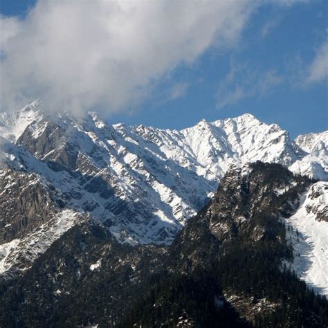 Festivals In Goa: Must-Attend Events From December To February 2025