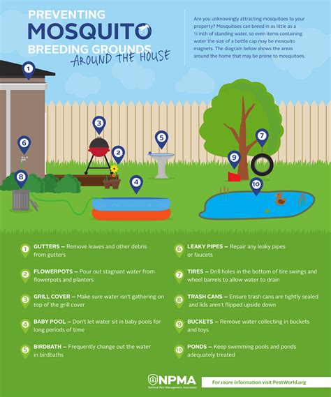 How To Control Mosquitoes And Keep Your Yard Bitefree This Summer