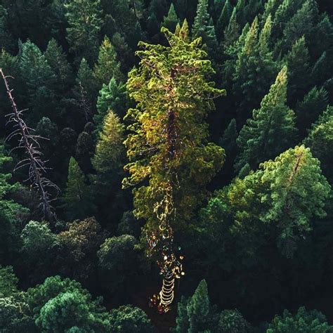 Travel Tips & Trip Planning Guide for Local & International Travellers ...