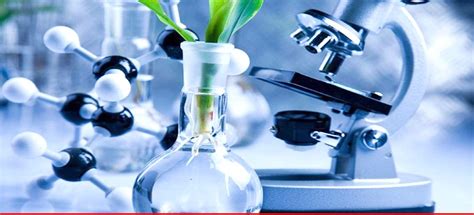 Modern Biotechnology 的图像结果