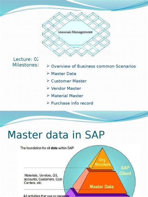 Image result for Master Data SAP Presentation