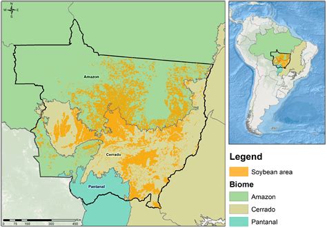 Illegal Deforestation in Mato Grosso: How Loopholes in Implementing ...