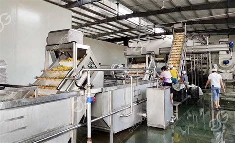 Mango Pulp Process 的图像结果