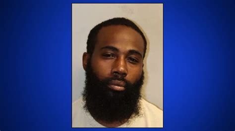 Man charged, accused of posing as a veterinarian and letting a dog die ...