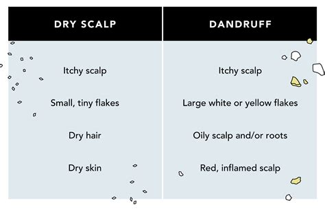 Scalp Dandruff 的图像结果