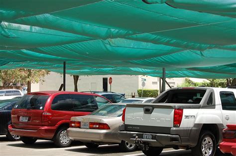 Bird Proofing