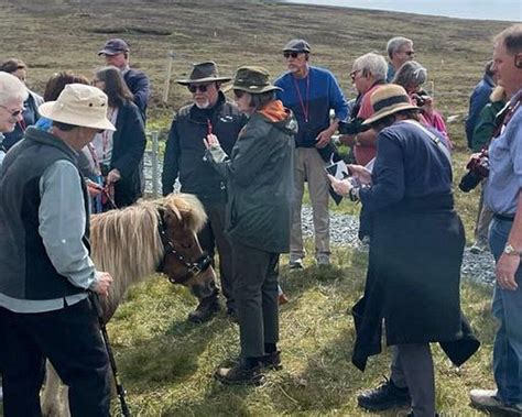 THE BEST Places to Visit in Tingwall (2026) - Must-See Attractions
