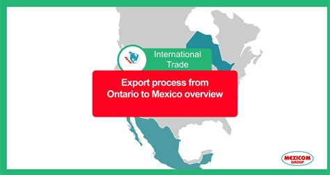 Image result for Export Process MX