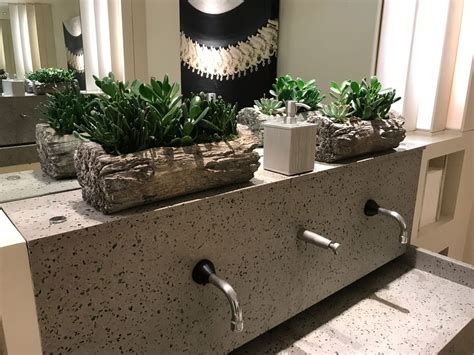 Office Plants London - Orchids, Succulents and Plants delivered to ...