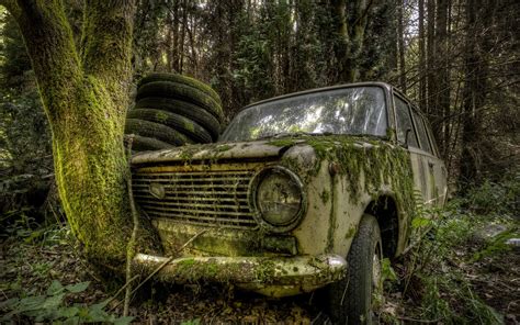 Rust Car In Forest