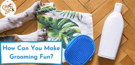 How Can You Make Grooming Fun?
