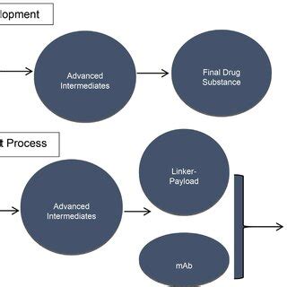 Image result for ADC Formulation Development
