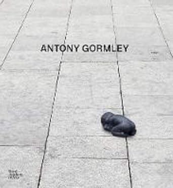 Buy Antony Gormley Book Online at Low Prices in India | Antony Gormley ...
