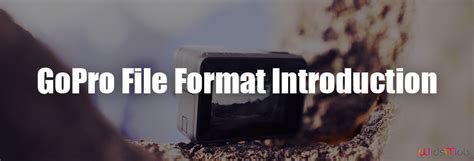 GoPro 10 File Format Settings 的图像结果