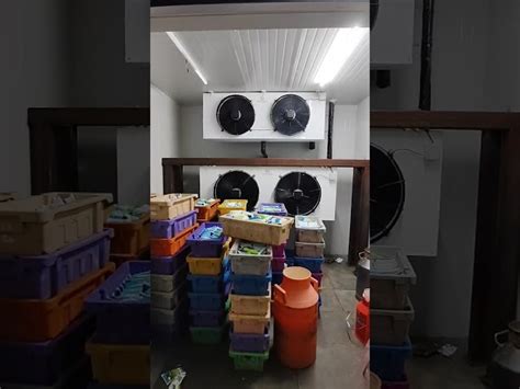 Cold Storage Rooms - Commercial Cold Storage Service Provider from Pune